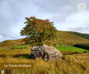 Litir chun mo Sheanathair (Cuid a Dó)